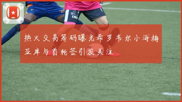 热火交易筹码曝光希罗韦尔小海梅亚库与首轮签引发关注